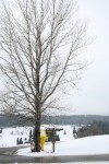 Verhuellungen_035